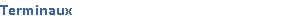 Terminaux